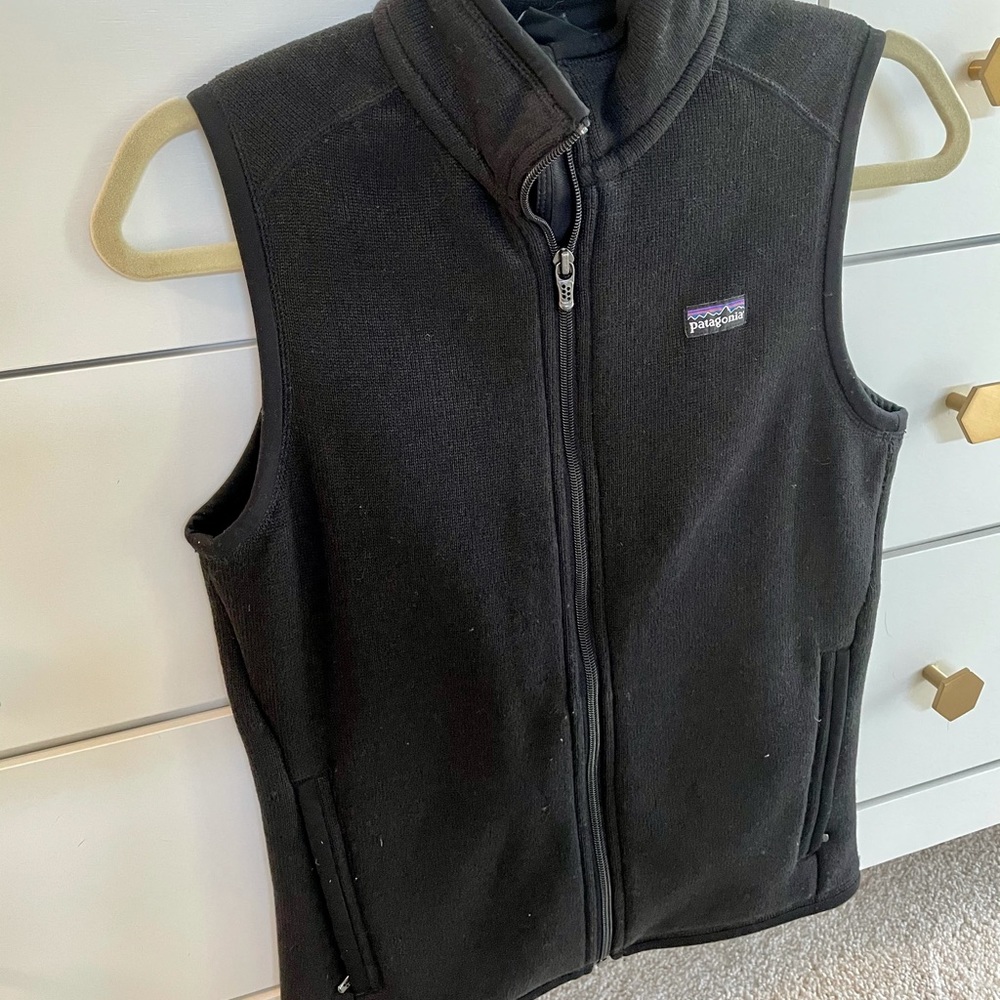 Patagonia Better Sweater Fleece Vest